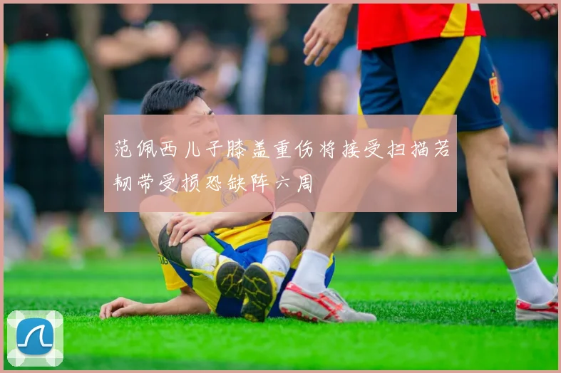 范佩西儿子膝盖重伤将接受扫描若韧带受损恐缺阵六周