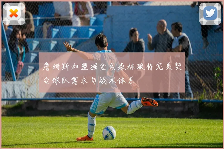 詹姆斯加盟掘金或森林狼将完美契合球队需求与战术体系