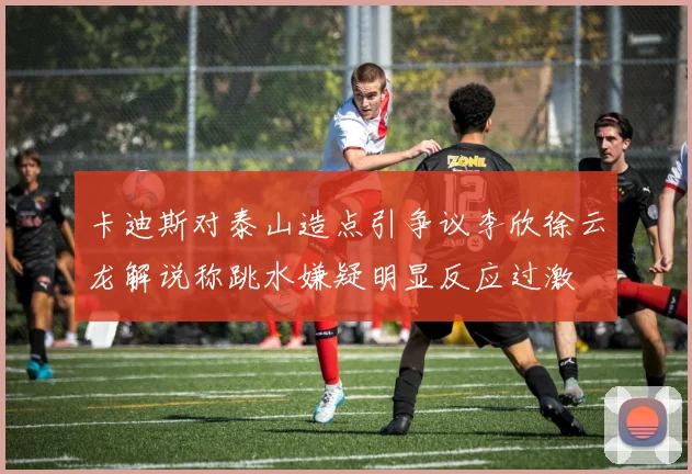 卡迪斯对泰山造点引争议李欣徐云龙解说称跳水嫌疑明显反应过激